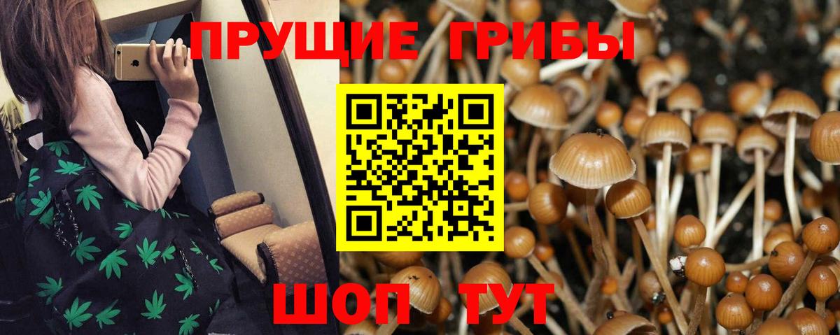купить наркотик  Галлюциногенные грибы MAGIC MUSHROOMS  Вход с VPN  Сыктывкар 